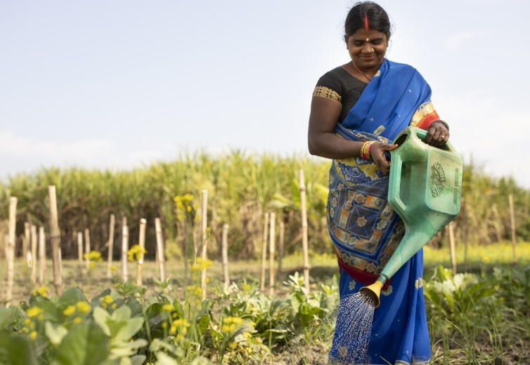 Strengthening resilient communities: Climate-smart agriculture and disaster risk reduction in Nepal