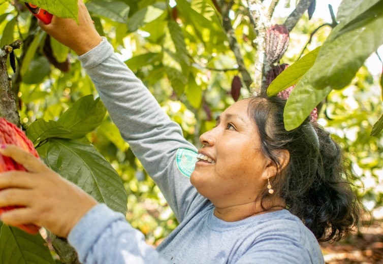 Lutheran World Relief's commitment to the cocoa sector