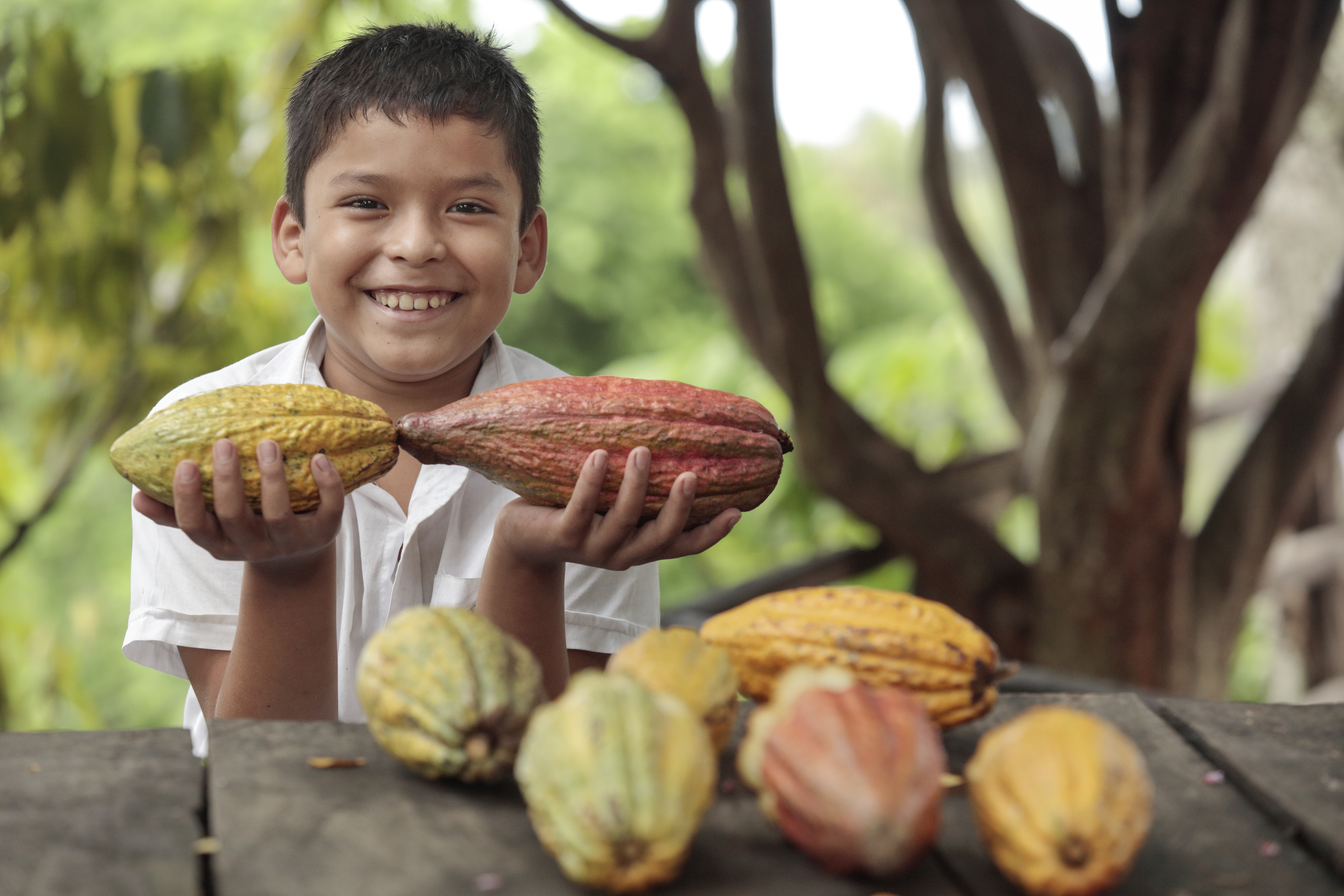 An El Salvadorean boy holds 3 cacao pods and smiles