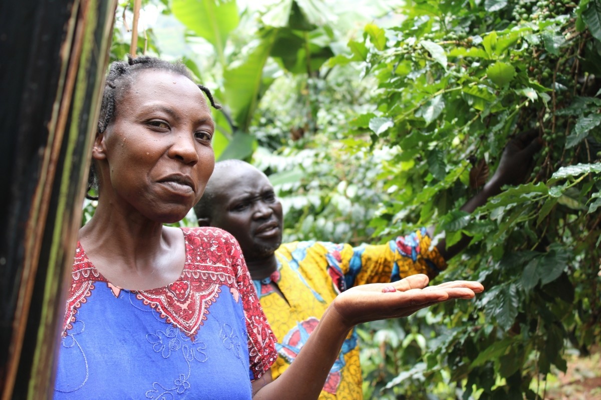Nafuna Oliver shows off coffee from their trees. Their coffee crop supports their family and their school, which teaches 250 students. (Photo: Brad LaBriola for Lutheran World Relief)